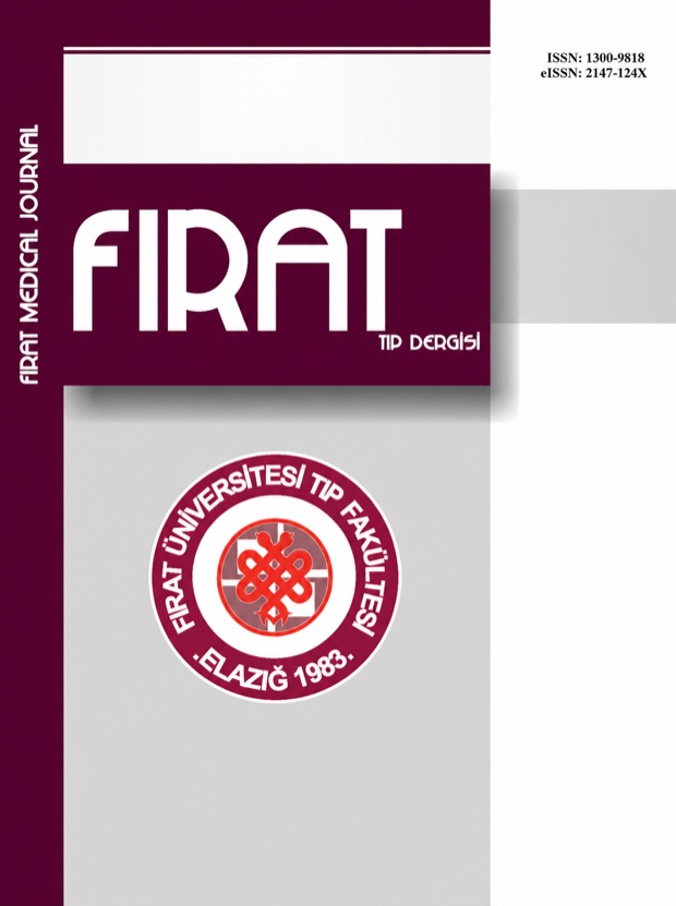 Son Sayı — 2026, Cilt 31, Sayı 2